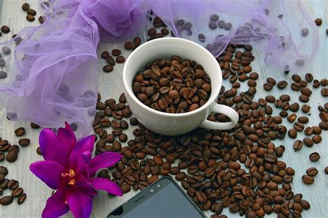 Cafe Coado Na Calçinha