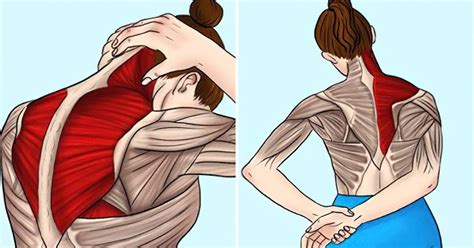 Exercices Simples Et Efficaces Pour Soulager Les Douleurs Cervicales