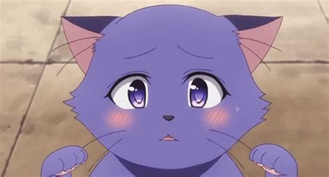 anime cat find and share on giphy