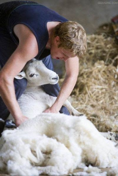 Cashmere doesn't come from sheep, but from goats. Cashmere and wool, there are many differences of only a ...