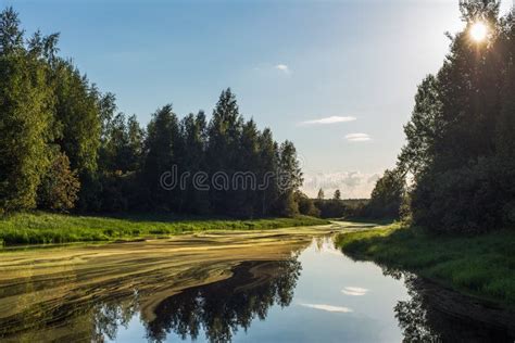 Sunny River Stock Photo Image Of Woods Nature River 33272572