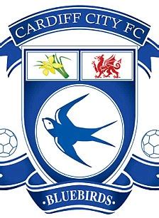 Covers booklet business architecture and transport, modern design, blue and white, logo company, vector template design. Cardiff City launch new red home kit | Daily Mail Online