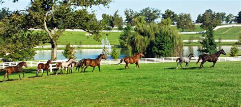 Best Of Times Travel And Entertainment Kentucky Bluegrass Bourbon