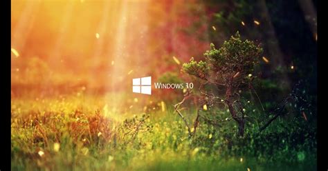 How To Add Live Wallpaper To Windows 10 How To Get Live Wallpaper And