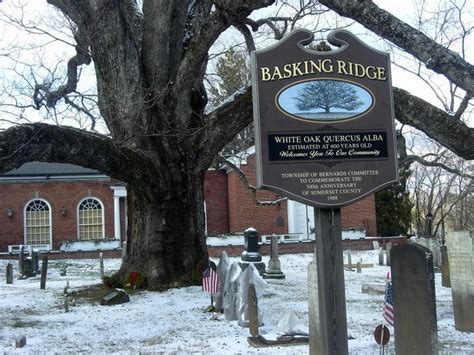 Basking Ridge