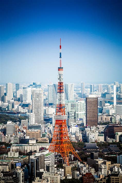 Tokyo Tower Photograph by Natapong Supalertsophon