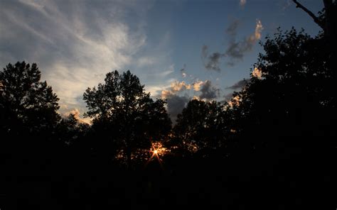 Download Wallpaper 3840x2400 Trees Sunset Rays Branches Sky Dark