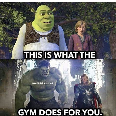Pin By Caleb S Chaney On Hulk Really Funny Memes Funny Disney Memes