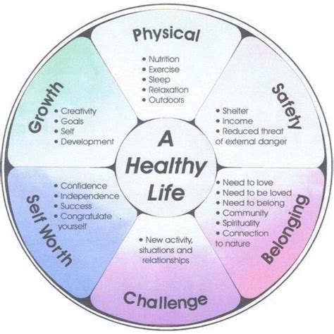 Wellness Wheel Easymeditation Wellness Wheel Coping Skills Life