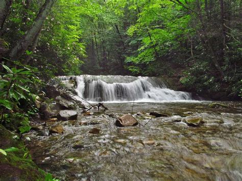 West Virginias Monongahela National Forest Offers A Lifetime Of