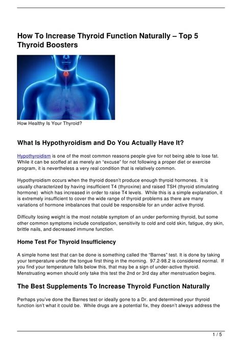 How To Increase Thyroid Function Naturally Top 5 Thyroid Boosters