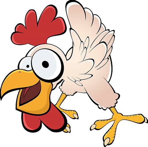 Funny Chicken Illustrations Royalty Free Vector Graphics And Clip Art