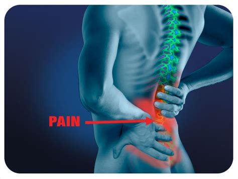 Low Back Pain Chiropractic Care Can Help Kuty Chiropractic