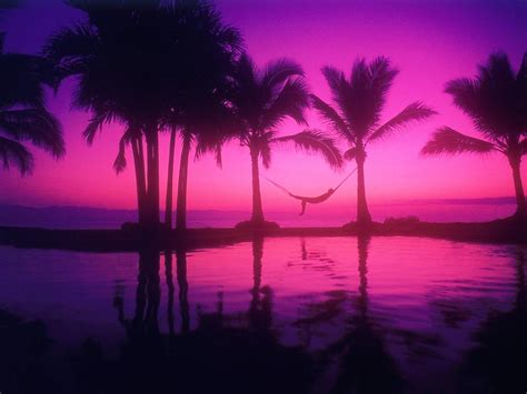 42 Pink Sunset Wallpapers Wallpapersafari