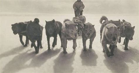 ‫صور تاريخية نادرة من أول عملية استكشافية لأنتاركتيكا القطب الجنوبي تم التقاطها قبل 100 عام