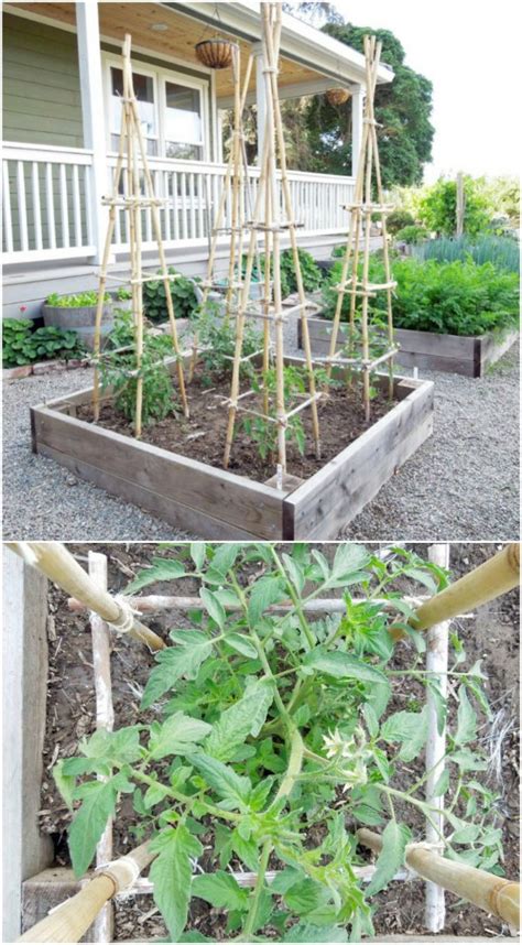 Amazing diy ideas with bamboo diy crafts with bamboo useful life hacks. 14 Great DIY Garden Plant Supports and Ideas