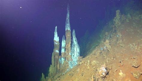 Deep Sea Volcanoes Biological Hotspots Are Windows Into The Subsurface