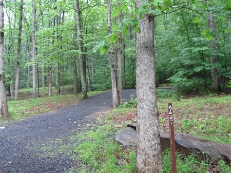 Poe is listed in the world's largest and most authoritative dictionary database of abbreviations and acronyms the free dictionary Pennsylvania State Parks: Poe Valley State Park