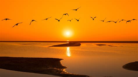 Wallpaper Lake Water Sunset Birds Flight 3840x2160 Uhd 4k Picture Image