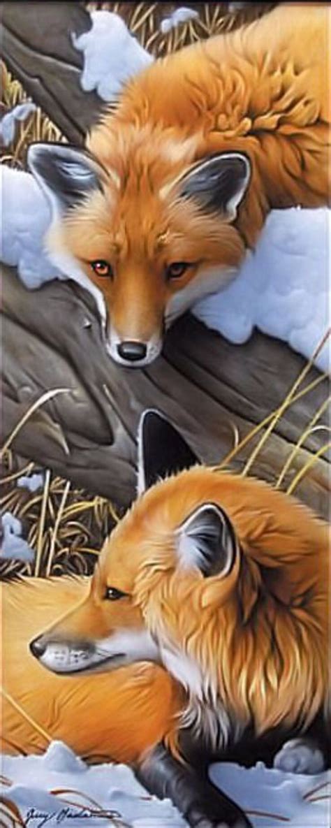 Jerry Gadamus Animal Paintings Animal Drawings Animals And Pets Cute