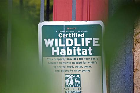 Certified Wildlife Habitat Now I Cannot Sign Onto My Flic Flickr
