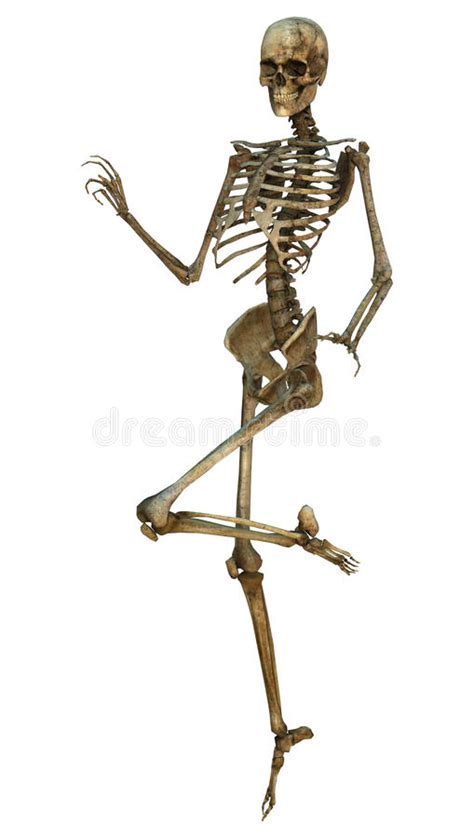 Human Skeleton Stock Illustration Illustration Of Render 37934853