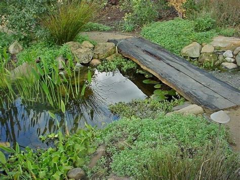 Pin By Isevgi On Permaculture Garden In 2020 Ponds Backyard Backyard