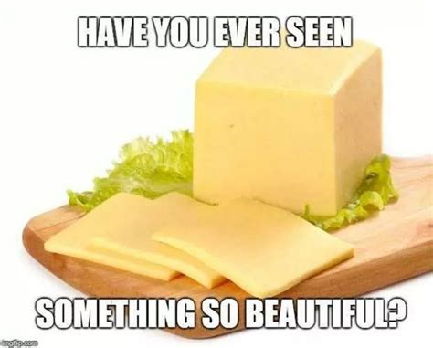 35 Funny Cheese Memes With Extra Cheesiness