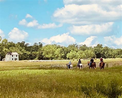 The Best Gettysburg Horseback Riding Tours Updated 2023