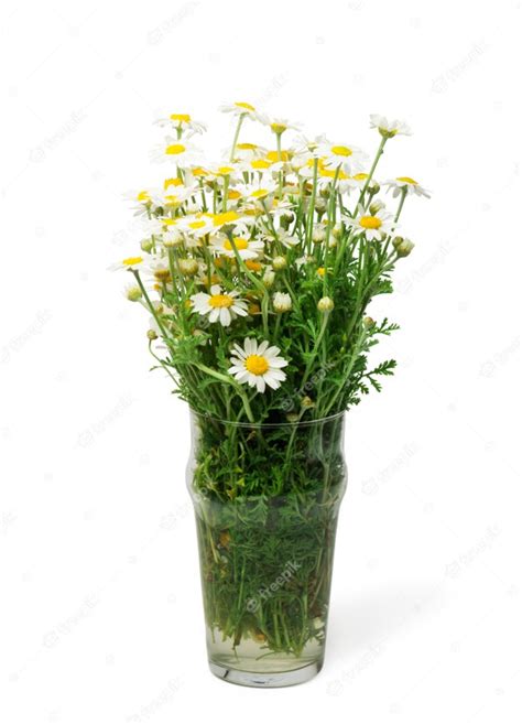 Bouquet De Fleurs De Marguerite Blanche Dans Un Vase Photo Premium