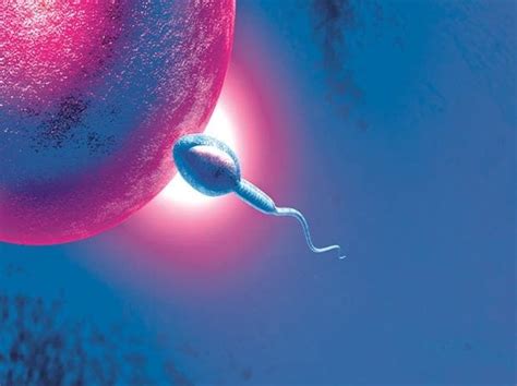 Significant Decline In Sperm Counts Globally Including India Study