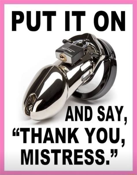 Put It Or And Say Thank You Mistress Ifunny