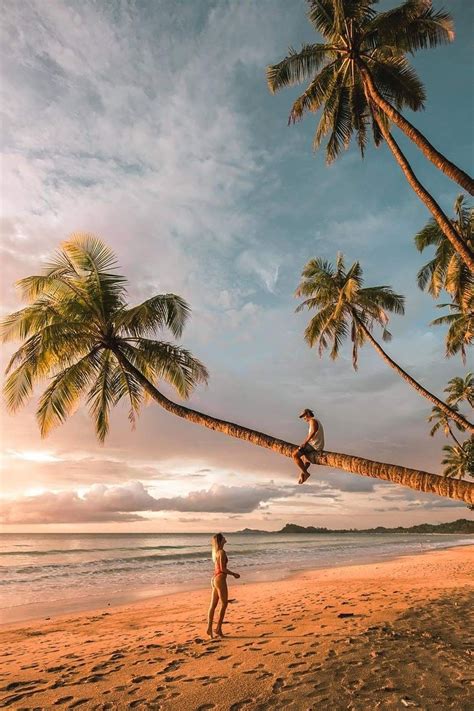 Tropical Vibes 🌴🌴 By : Haylsa