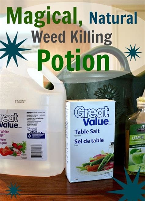 Top 10 Organic Homemade Weed Killers Top Inspired