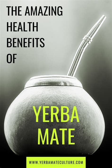 Yerba Mate Tea Health Benefits Yerba Mate Tea Mate Tea Yerba Mate