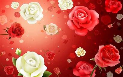 Flowers Flower Wallpapers Pretty Rose Backgrounds Background