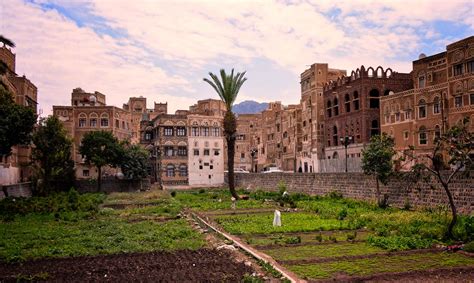 Community Garden Sanaá Yemen Rod Waddington Flickr