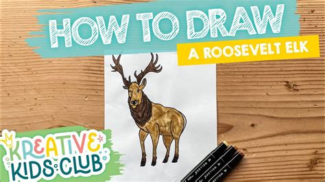 Learn How To Draw An Elk For Beginners Educational Step By Step