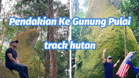 Aktiviti Hujung Minggu Mendaki Ke Gunung Pulai Laluan Hutan Youtube