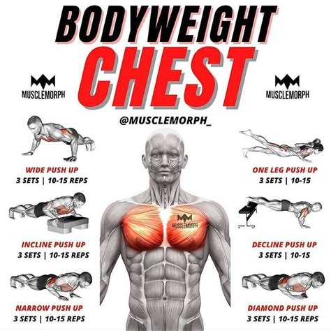calvin nunez kabar best chest workouts for men