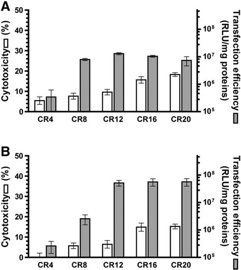 Cytotoxicity And Transfection Efficiency Of Ss Lipoplexes In Hela