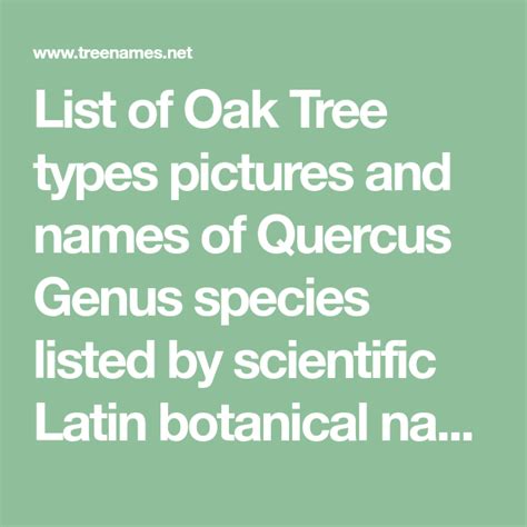 List Of Oak Tree Types Pictures And Names Of Quercus Genus Species
