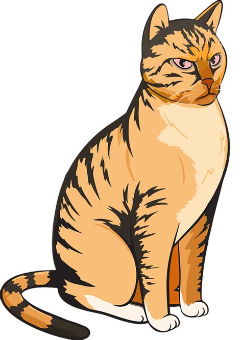 Unhappy Cat Clipart Angry Cartoon Cat Png Download Full Size