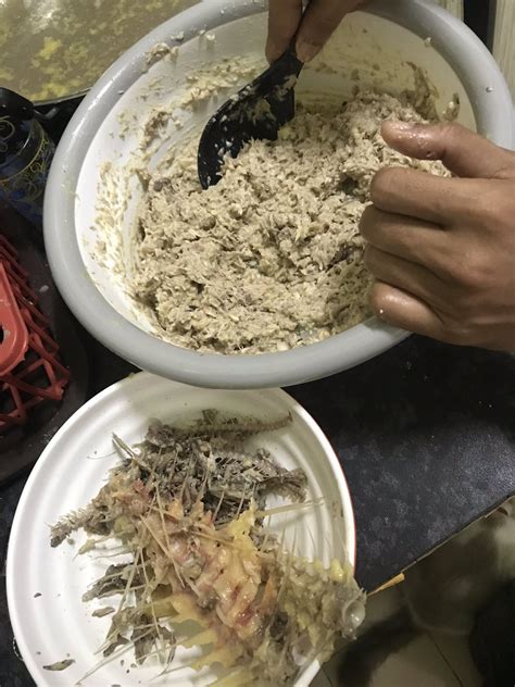 Berguna untuk tempat kotoran kucing. 5 Langkah Mudah Buat Makanan Kucing Sendiri Guna Ikan ...