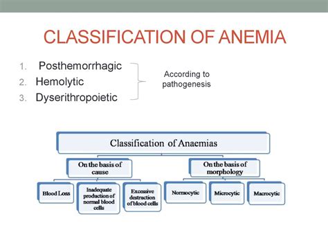 All Types Of Anemia Chart