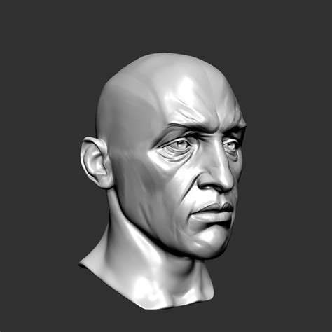 Male Head Sculpt Human Anatomy Fantasy Futuristic 3d Model Cgtrader