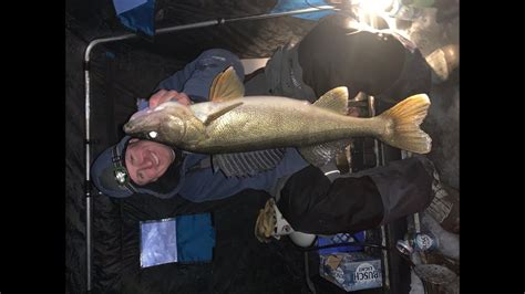 Maybe you would like to learn more about one of these? Lake Minnetonka Walleye video! - YouTube