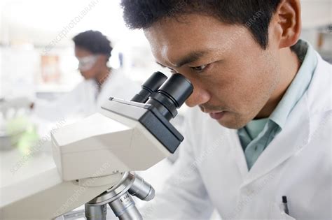 Biologists Stock Image F0033996 Science Photo Library