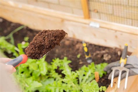 Step one in organic farming should be preparing your soil. Know How to Make Your Own Soil with Less Efforts - County ...