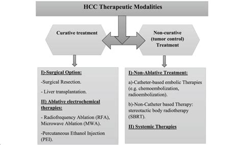 Therapeutic Modalities Used For Hcc Treatment Download Scientific Diagram